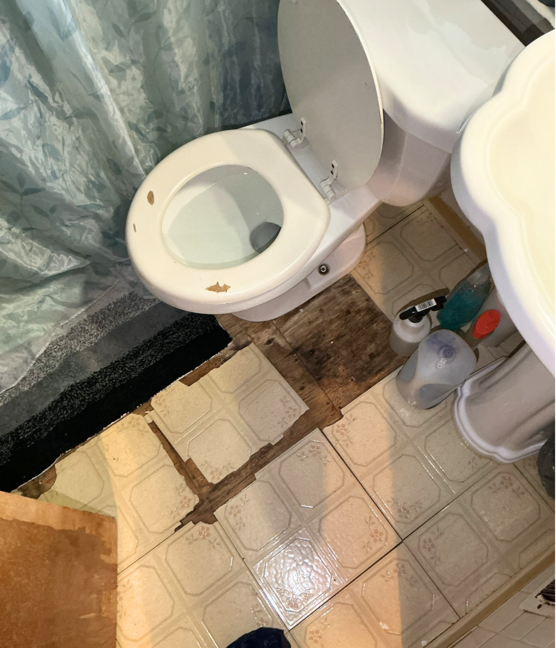 Rotted subfloor under toilet — what looked like a simple toilet replacement