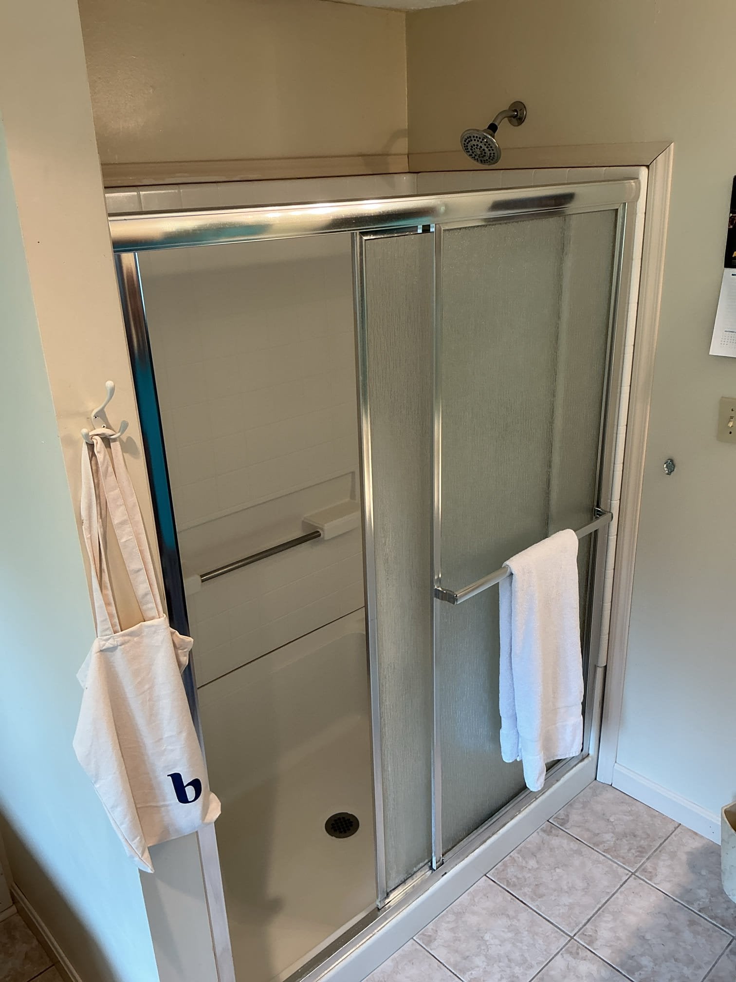 Dated fiberglass shower with single showerhead and pebbled glass doors — before Wahl remodel